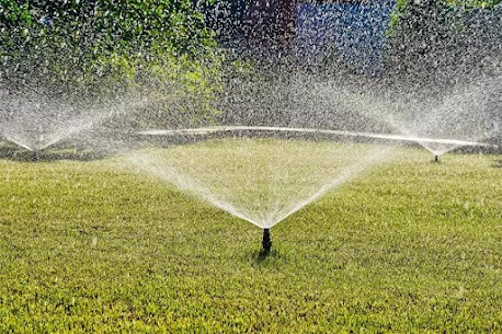 Why One Irrigation Zone Isn’t Activating in Your Raleigh, NC Sprinkler System.jpg