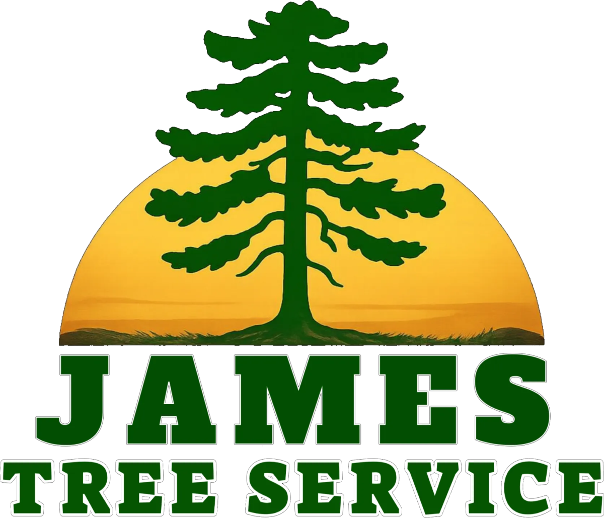 James Tree Service