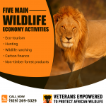 Vetpaw PR Image 1.png