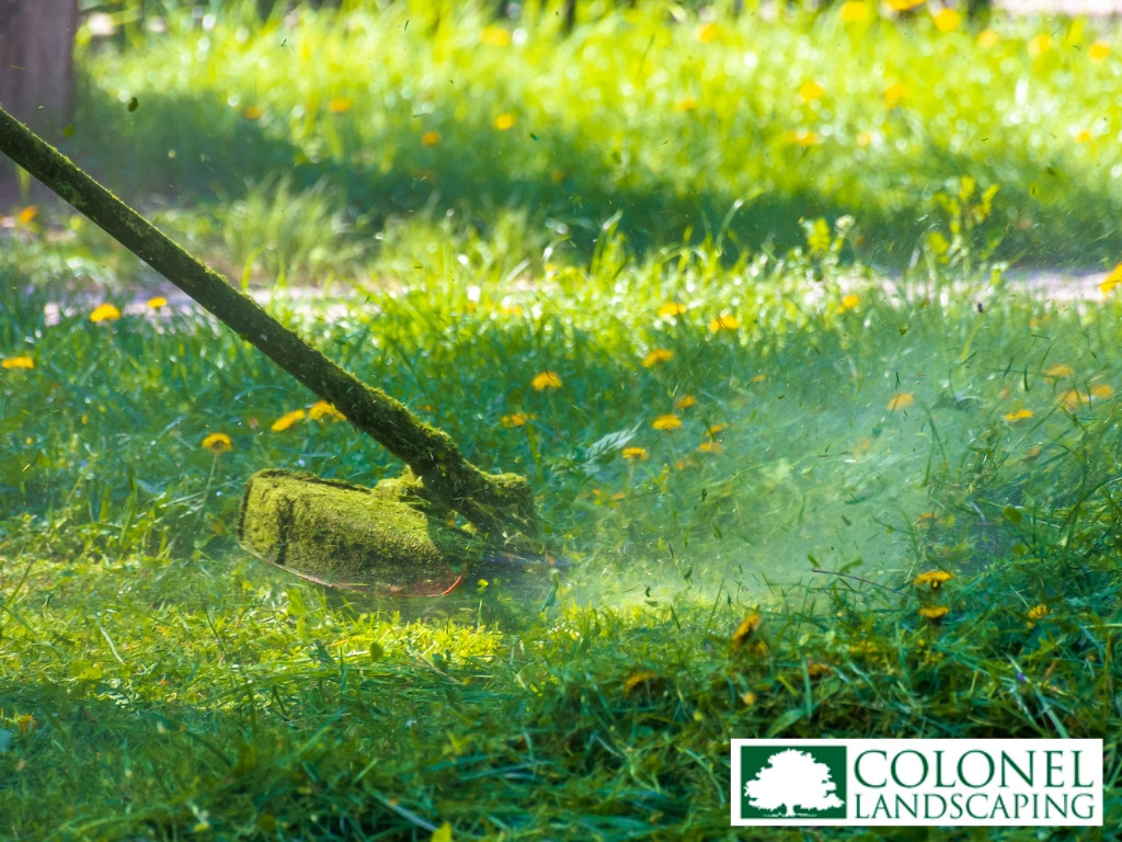 Colonel Landscaping 860-300-3497 276 Butlertown Rd, Oakdale, CT 06370 - lawn care East Lyme CT.jpg