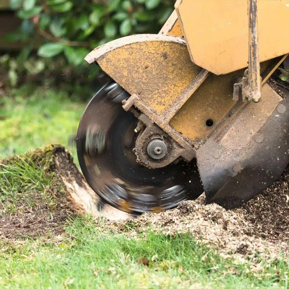 Top Cuts Upgrades Stump Grinding Services in Owings