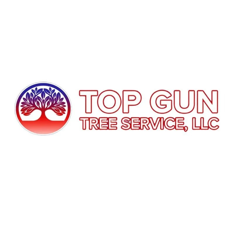 Top Gun Tree Service LLC