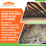 servpro-san-antonio-attic-mold-remediation-roof-leak.jpg