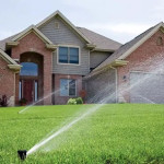 From Dried Out to Lush - See How This Humble Yard Beat the Texas Summer Heat.jpg