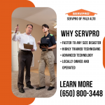 SERVPRO Palo Altro PR Image 4.png