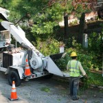 Tree Maintenance Lynchburg VA