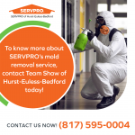 SERVPRO of HEB Graphic 6 (2).png