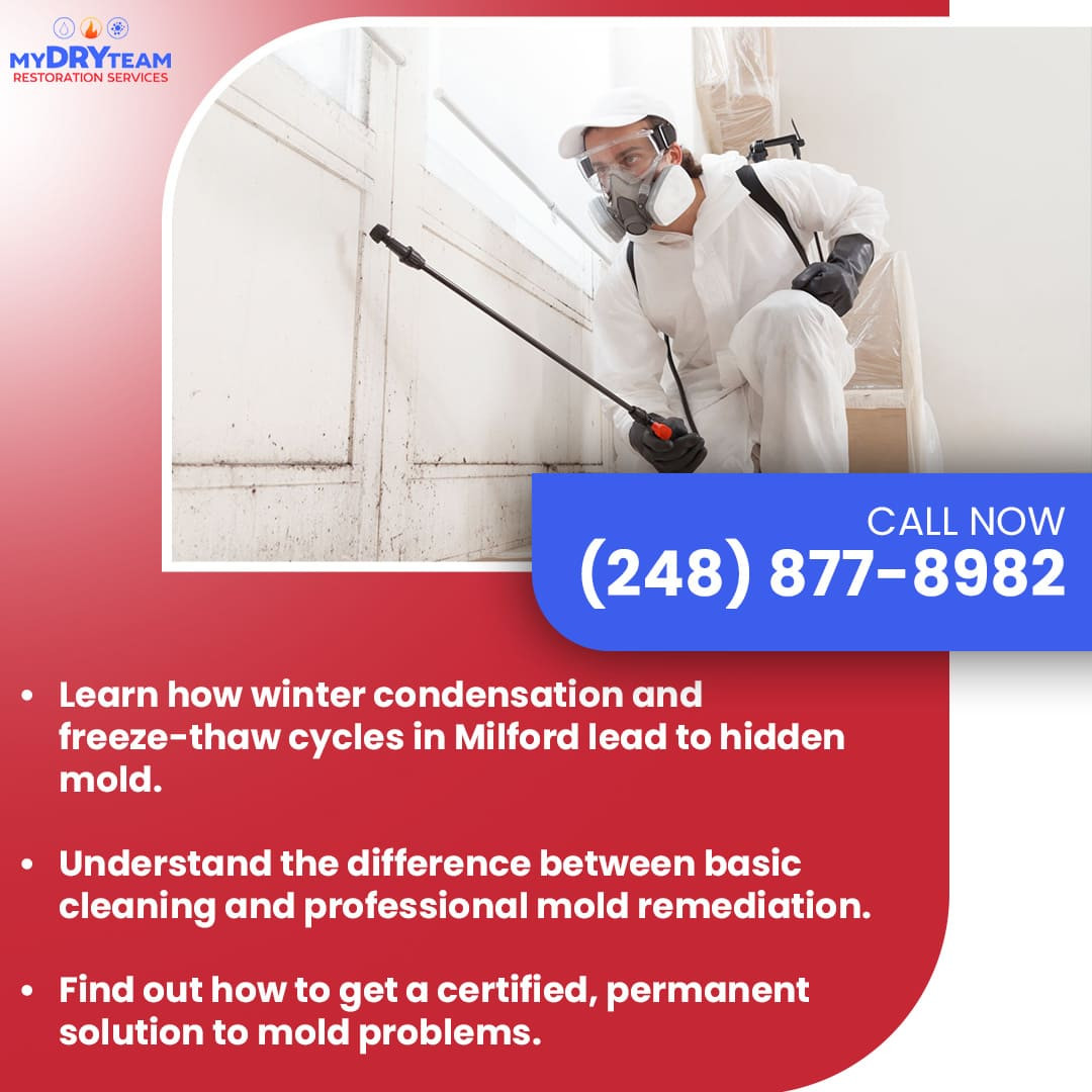 Permanent Solution to Mold Problems