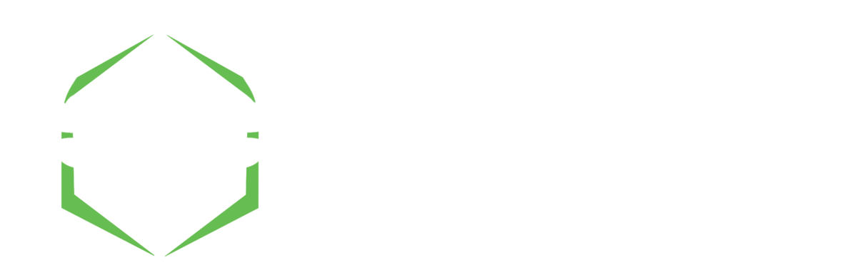 Taurus Auto Detailing LLC