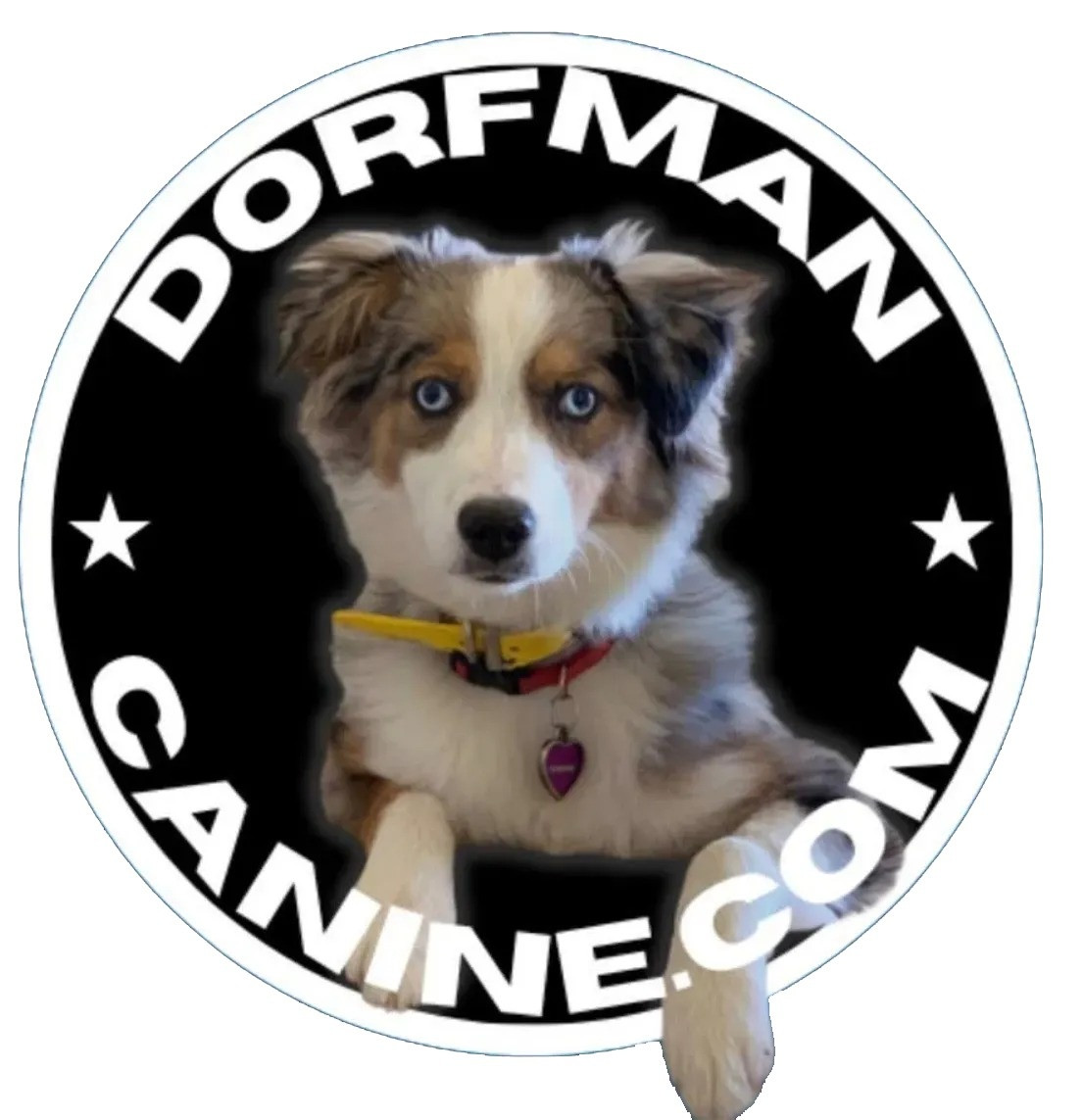 Dorfman Canine
