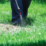 Avoid These Common Lawn Care and Weed Control Mistakes in Gainesville, GA This Summer.jpg