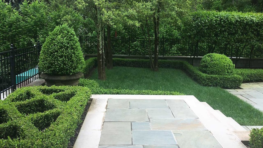 buckhead landscape maintenance company