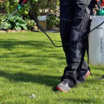 Why Summer Is the Ideal Season for Pre-Emergent Lawn Care Treatments in Gainesville, GA.jpg