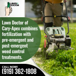 Lawn Doctor 2 (ver 1).jpg
