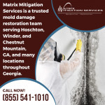Matrix Mitigation Services 6.jpg