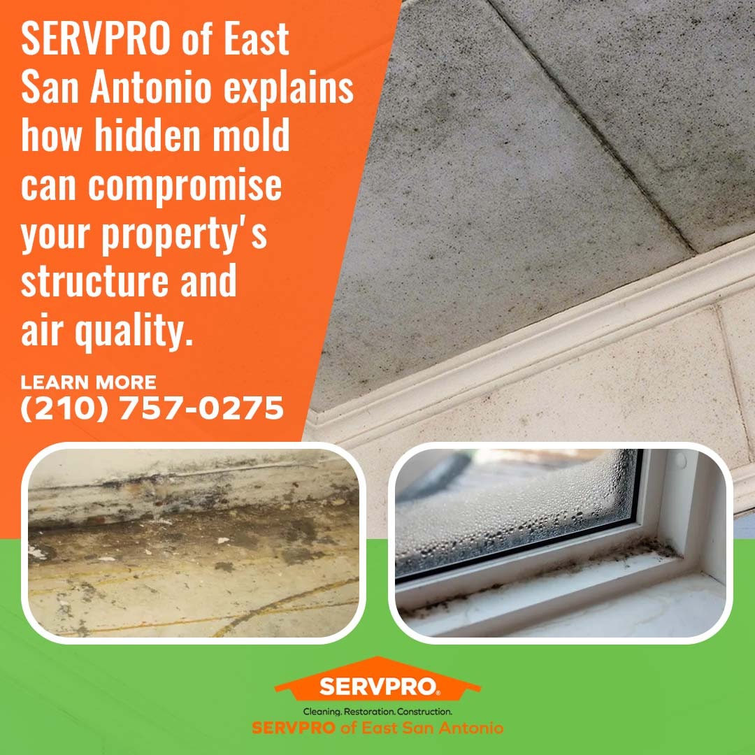 SERVPRO® of East San Antonio reveals hidden signs that demand mold assessment