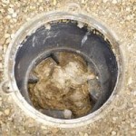 cloggeddrains.jpg
