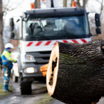 Untitled design (22).png