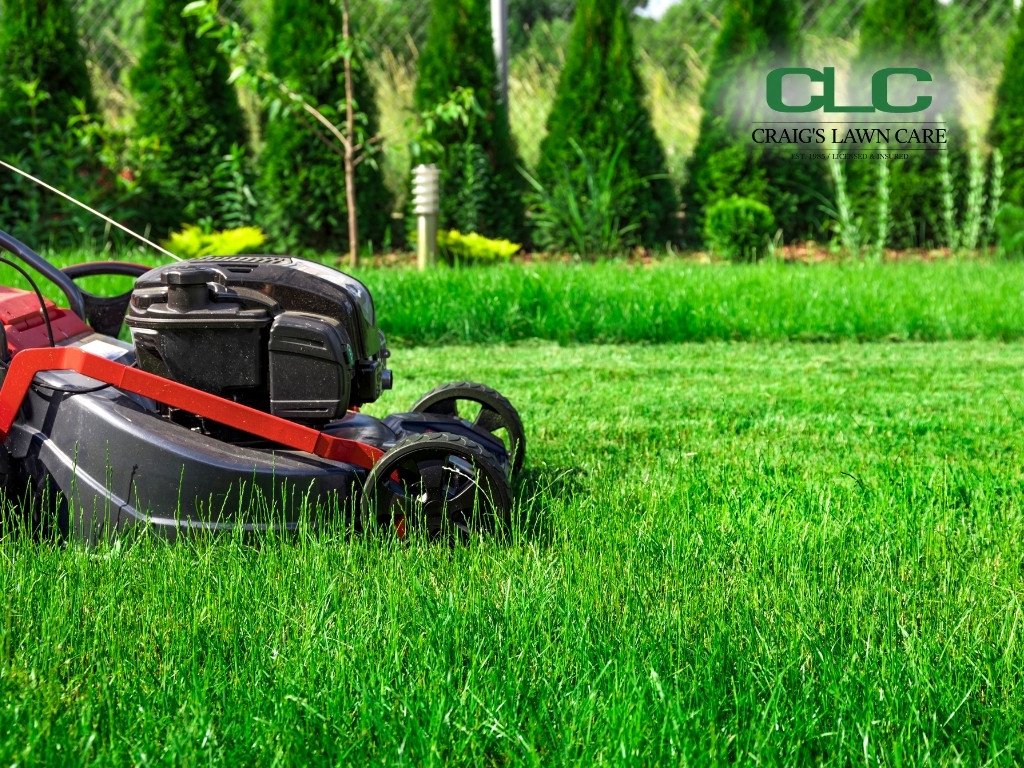 lawn mowing service Arlington VA