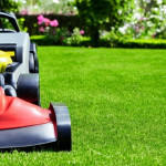 Lawn Care Service Experts in Omaha