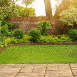 seasonal-lawn-care-service-strategies-for-indianapolis-residents-ezgif.com-webp-to-jpg-converter.jpg