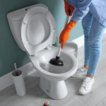 cloggedtoilet.jpg