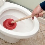 cloggedtoilet.jpg