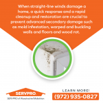 SERVPRO of Waxahachie Graphic 6 (1).png