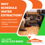 SERVPRO of Coppell and West Addison 1.png