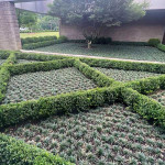 landscaping-companies-near-me.jpg