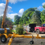 michiana-tree-service-mishawaka-indiana.png