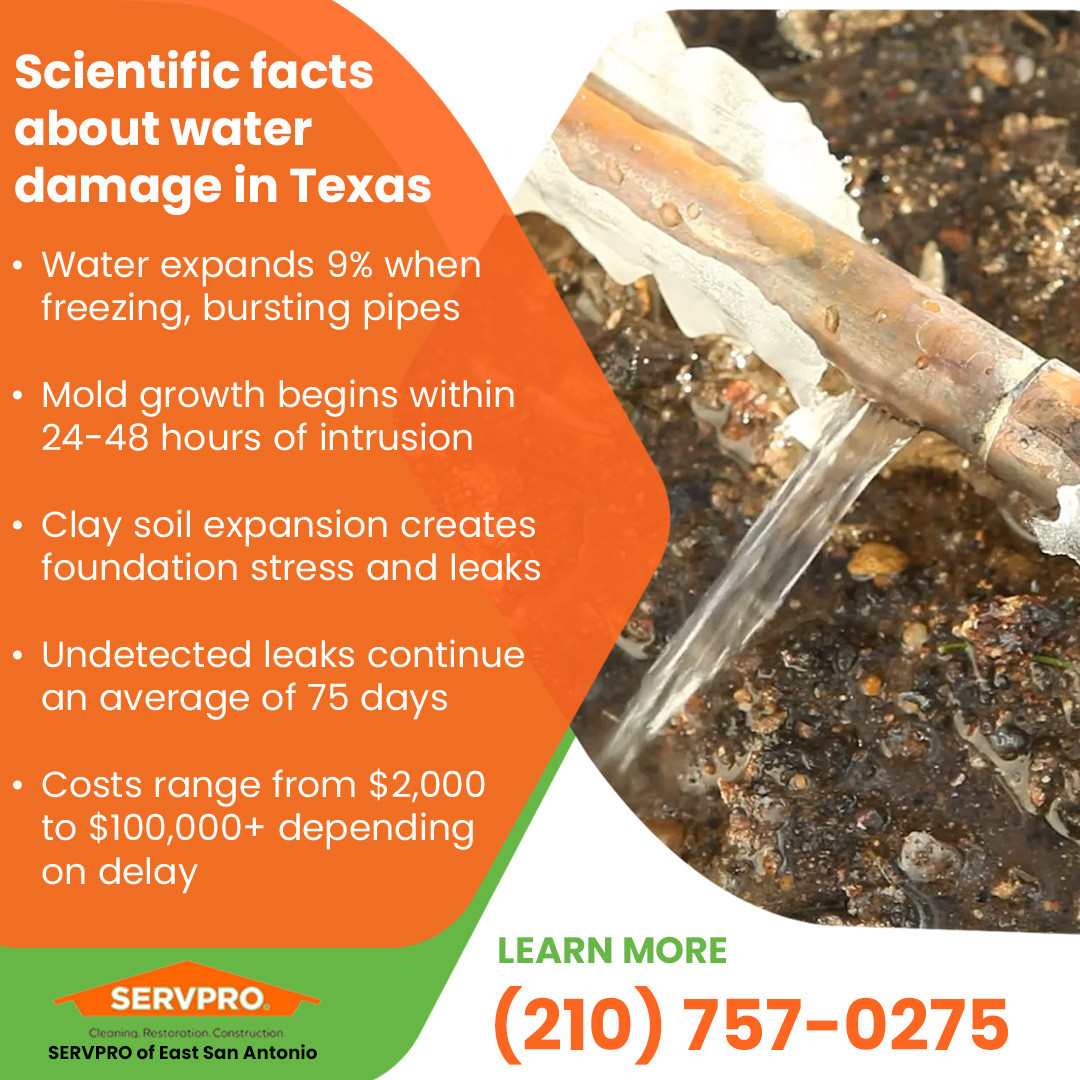 Scientific facts about water damage in Texas