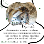 accumulated moisture weakens foundations.png