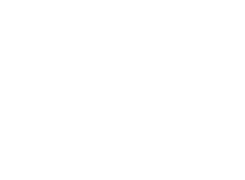 Furukawa Castles Karic LLP