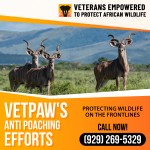 VetPaw.jpg