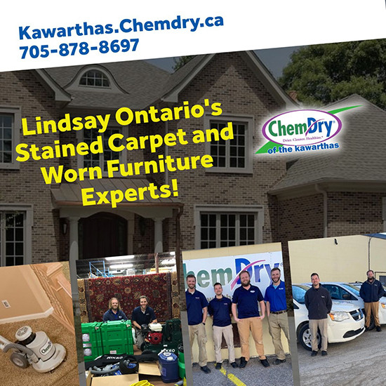 Maple Tree Counselling HK Strengthens Position as Leading Therapy ...