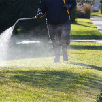 discover-the-best-lawn-care-solutions-in-indianapolis-in-expert-tips-and-advice-ezgif.com-webp-to-jpg-converter.jpg