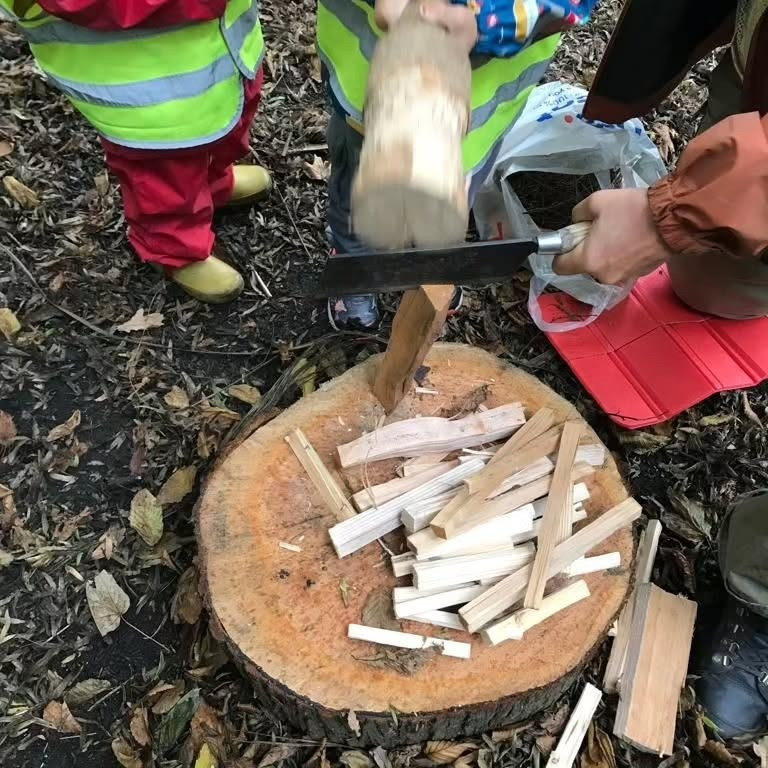 Forest Scholl Education