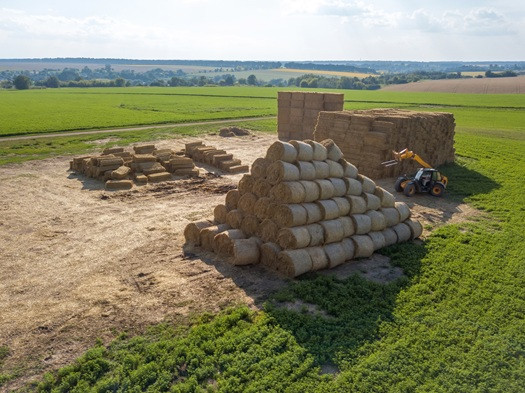 Daily Landscaping Ranked Top Sod Installation Company in Butler County