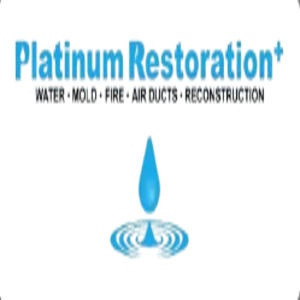Platinum Restoration