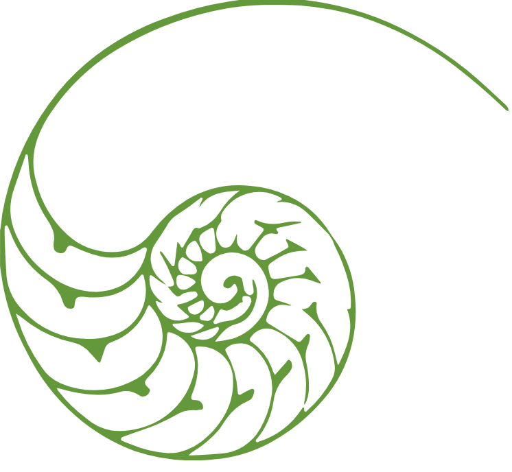 Dental Specialists of North Florida - Palm Coast