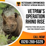 Operation-Rhino-Rise-2.jpg