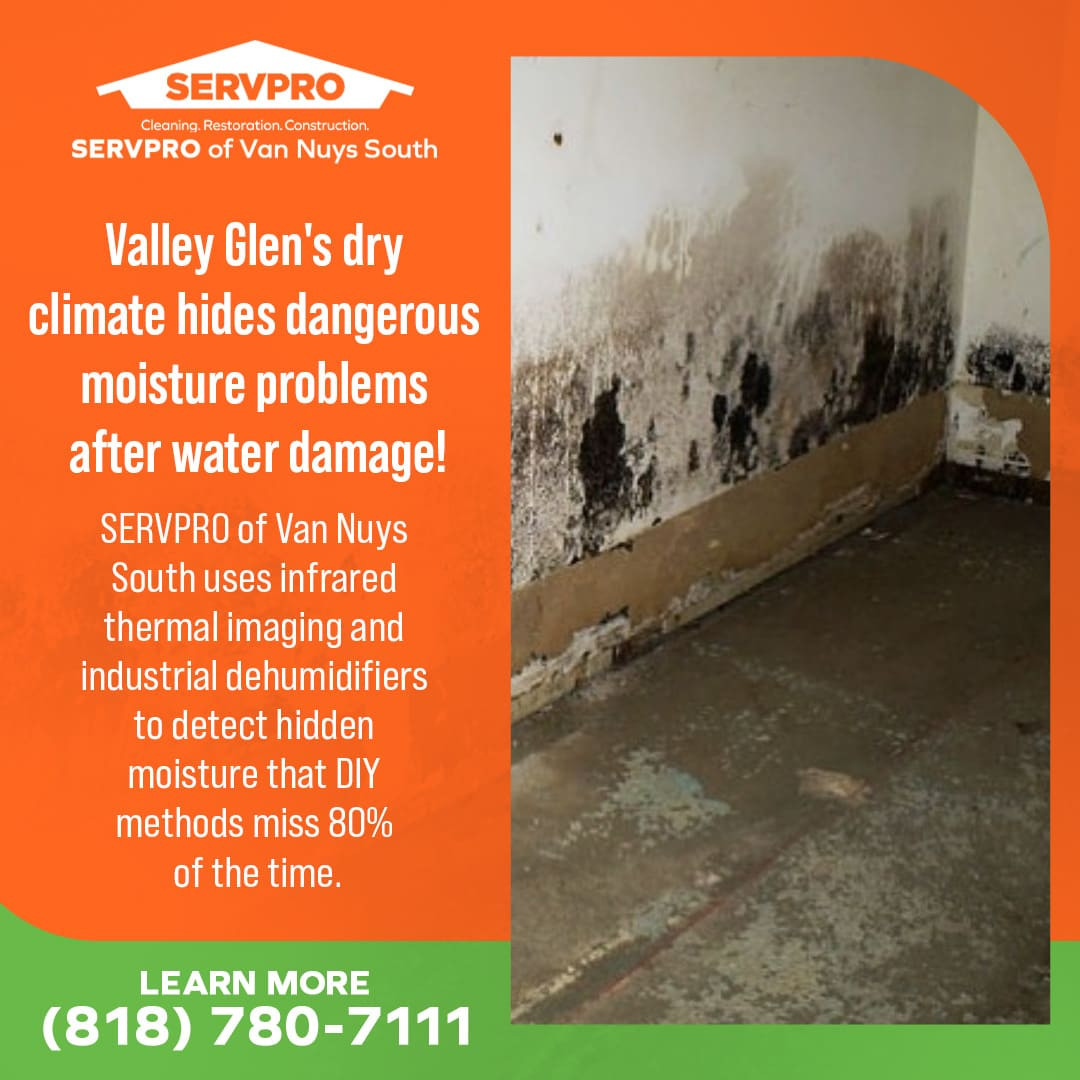 dangerous moisture problems after water damage