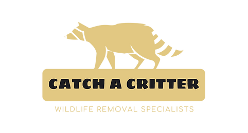 Catch A Critter - Wildlife Removal Specialists
