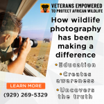 VETPAW-062021-(8).png
