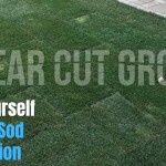 Do it yourself tips for sod installation.jpg