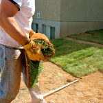 landscape construction (41).png