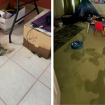 water damage cleanup.png