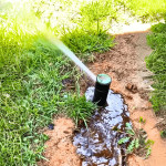 solving-lawn-sprinkler-systems-problems-quick-fixes-for-your-indianapolis-in-lawn-665eba7beec2b-ezgif.com-webp-to-jpg-converter.jpg