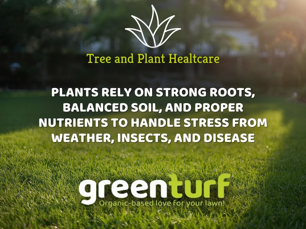 GreenTurf Highlights the Value of a Seasonal Tree Health Assessment